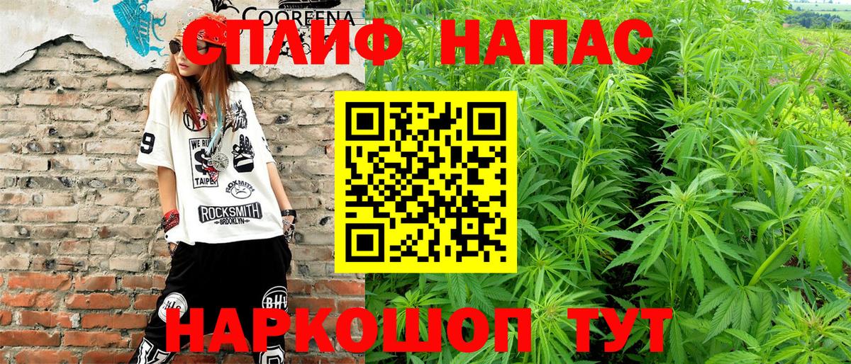 Каннабис конопля  МАРИХУАНА планчик  Вход с VPN  Канабис марихуана  Шишки марихуана сатива  Сатка 